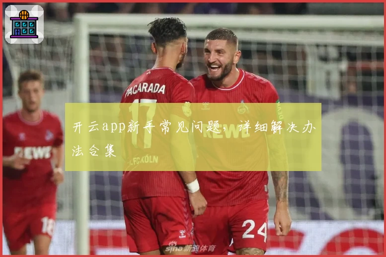 开云app新手常见问题，详细解决办法合集